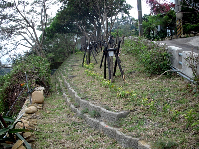 伯公坑綠化改善工程